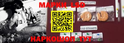 индика Будённовск