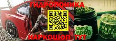 индика Будённовск