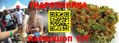 шишки Бузулук