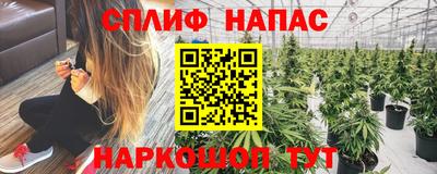 индика Будённовск