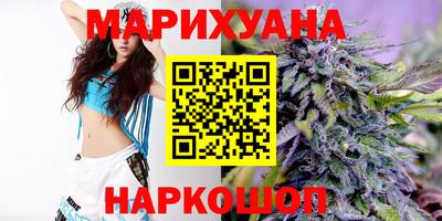 индика Будённовск