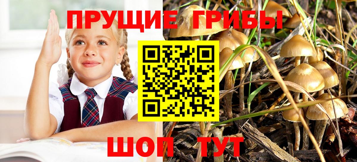 Пушкино  Галлюциногенные грибы GOLDEN TEACHER  Галлюциногенные грибы мухоморы  Вход с VPN 