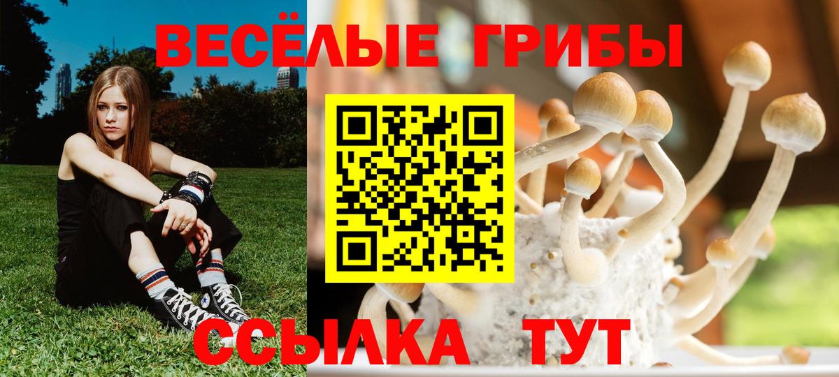 Галлюциногенные грибы MAGIC MUSHROOMS Пушкино